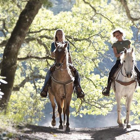 Il Vecchio Mulino Toscana Radicondoli Luaran gambar
